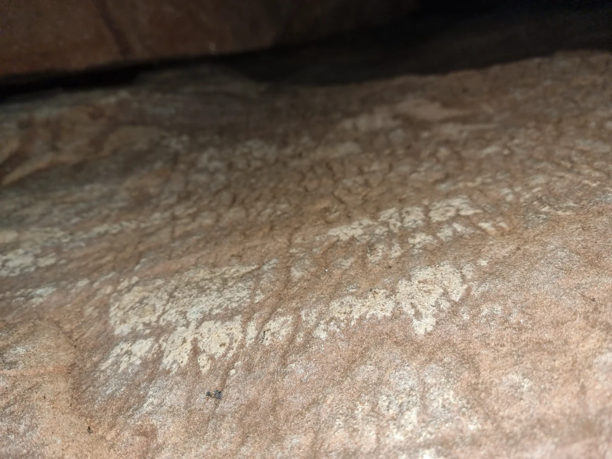 Lielā Jaunapsīšu ala, dabiski raksti uz alas sienas. 2025. gada novembris.