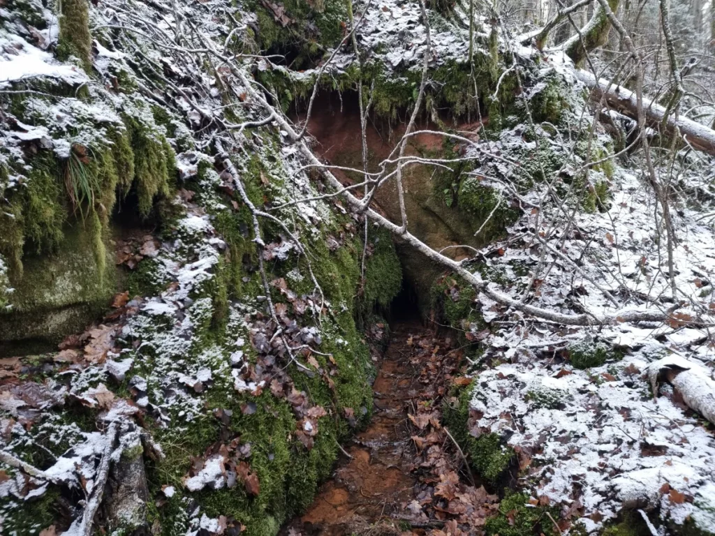 Malējā Jaunapsīšu ala. 2025. gada novembris.