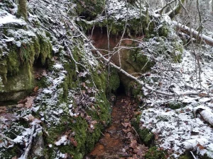 Malējā Jaunapsīšu ala. 2025. gada novembris.