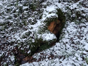 Mazais avots starp Vidējo un Lielo Jaunapsīšu alām. 2025. gada novembris.