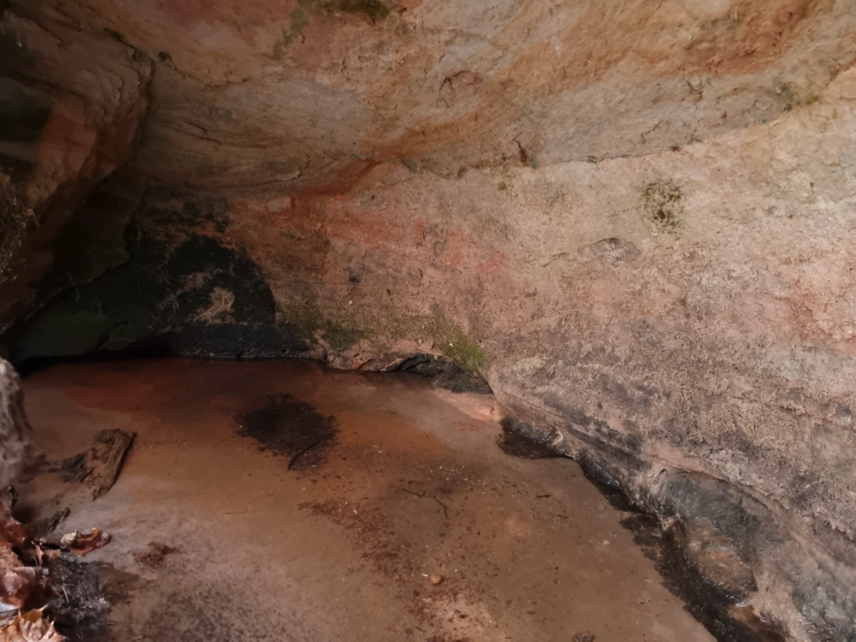 Mazās Velnalas avots. 2025. gada decembris.