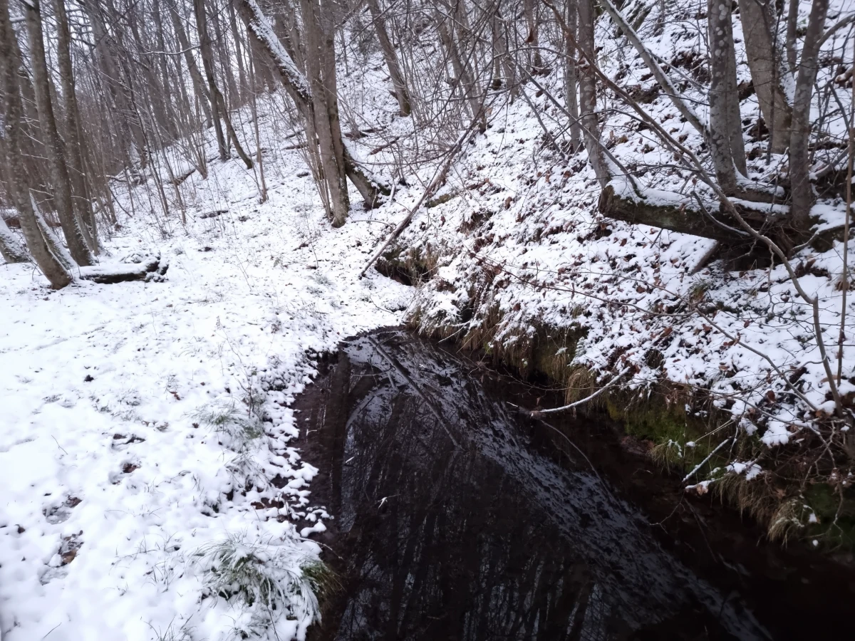 Mazās Velnalas avots. 2025. gada decembris.