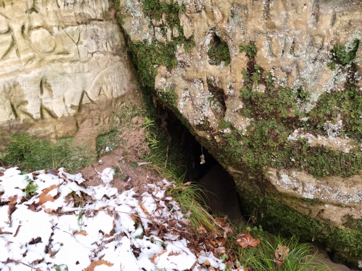 Gudrības avotiņš. 2025. gada decembris.