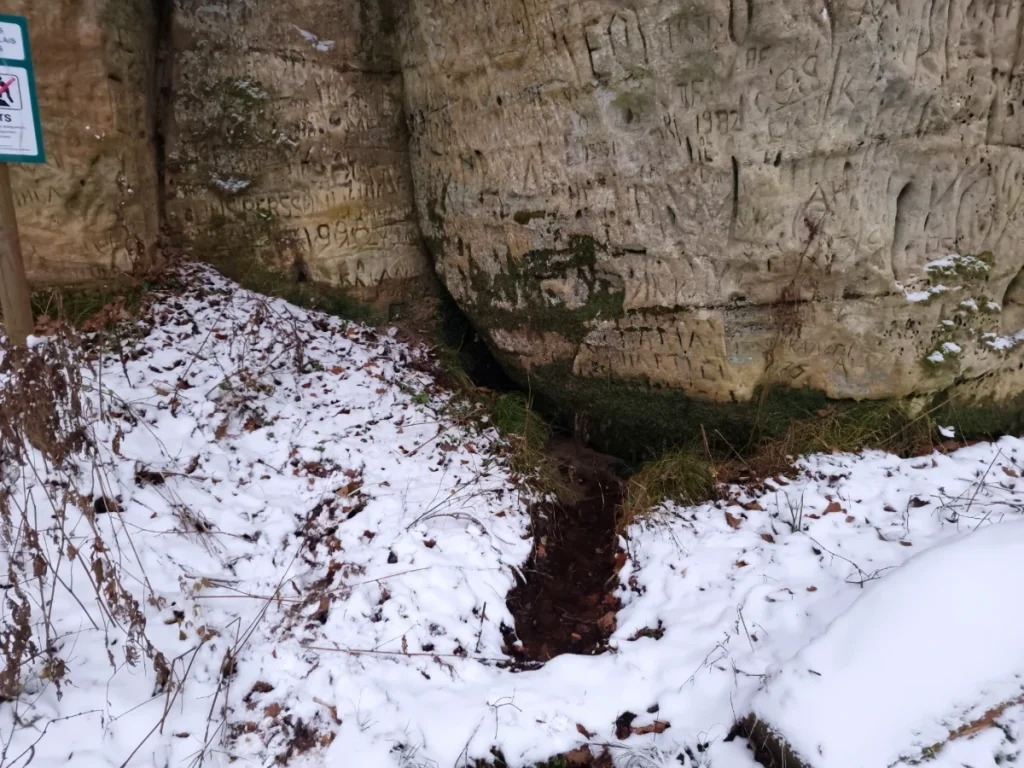 Gudrības avotiņš. 2025. gada decembris.