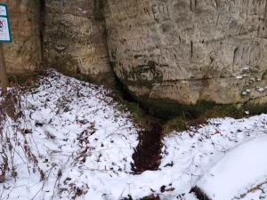 Gudrības avotiņš. 2025. gada decembris.