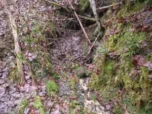 Vaidavas muižas Veselības avots. 2025. gada decembris.