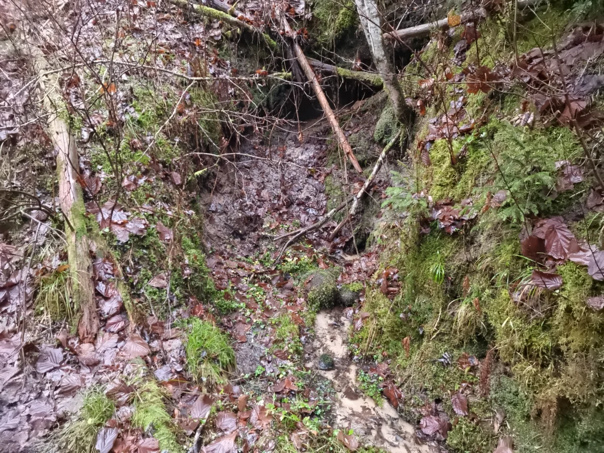 Vaidavas muižas Veselības avots. 2025. gada decembris.