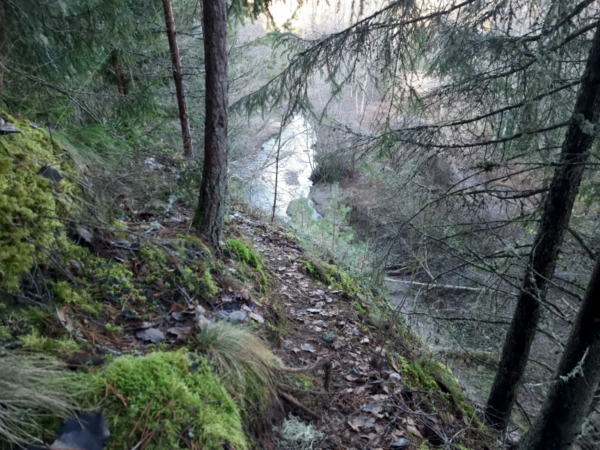 Skats no Kalējieža uz Vaivi. 2025. gada decembris.