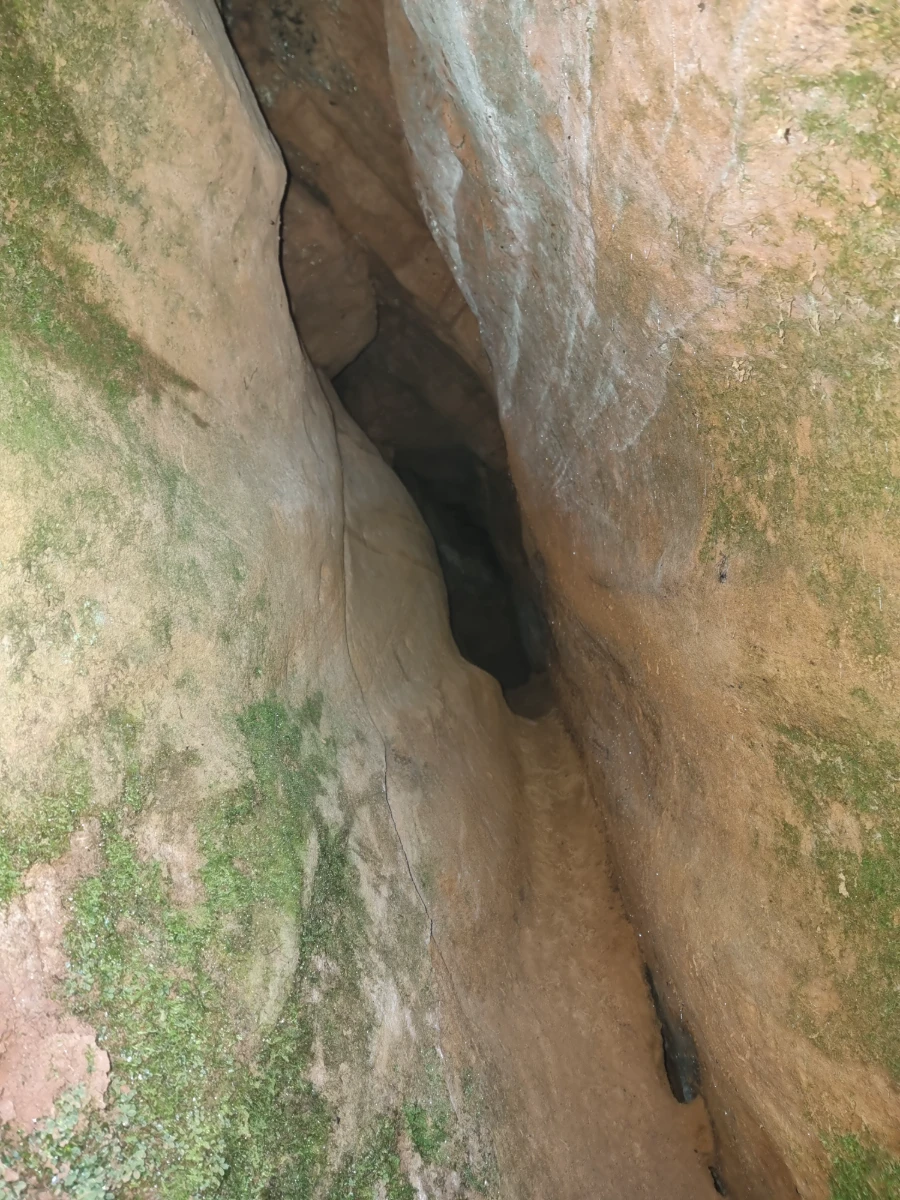 Vidējā Jaunapsīšu ala. 2025. gada novembris.