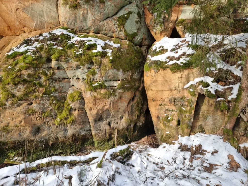 Krauļukalna ala. 2026. gada janvāris.