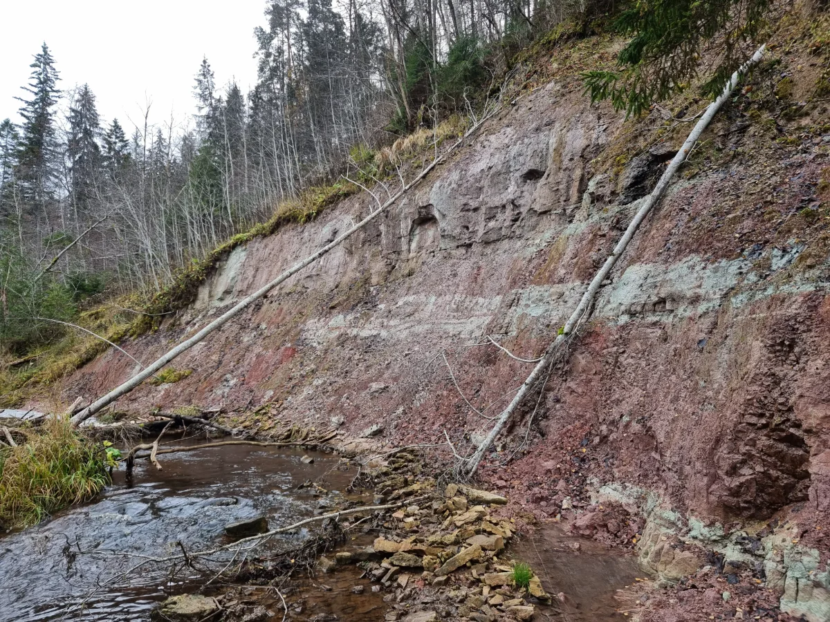 Atsegums pie Mazplūčiem. 2025. gada novembris. Amatas svītas ieži.