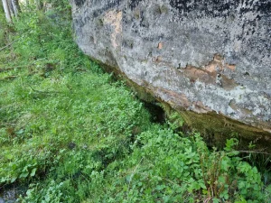 Avots Ramātu klinšu sākumā. 2025. gada maijs.