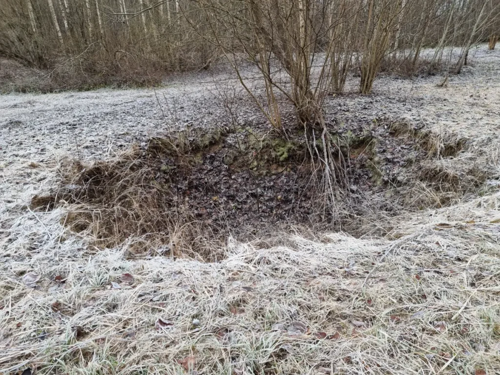 Simtgades kritene. 2025. gada novembris.