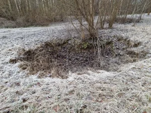 Simtgades kritene. 2025. gada novembris.