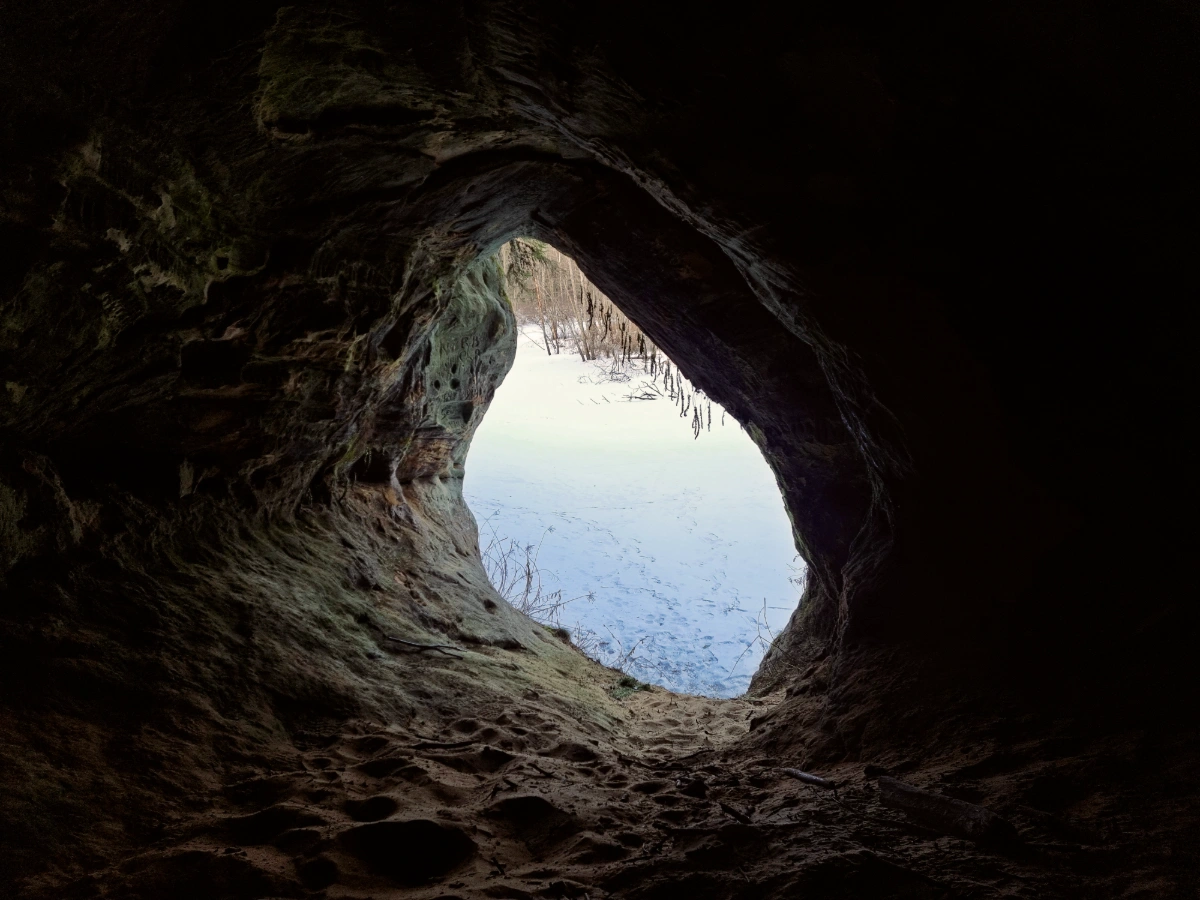 Spulgsūnas ala. 2026. gada janvāris.