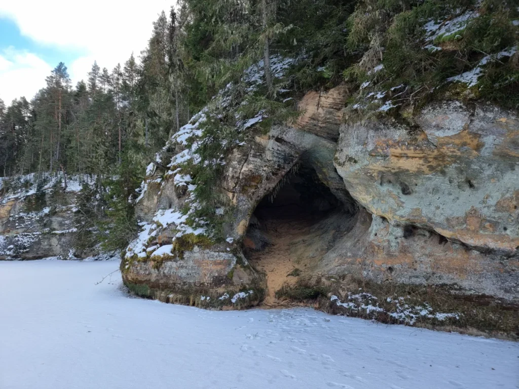 Spulgsūnas ala. 2026. gada janvāris.