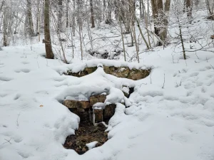 Īļaku svētavots. 2026. gada februāris.