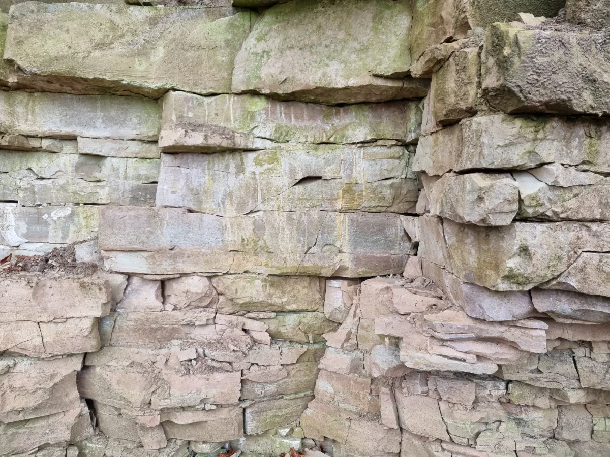 Langsēdes klintis, Bauskas svītas dolomīts. 2025. gada novembris.