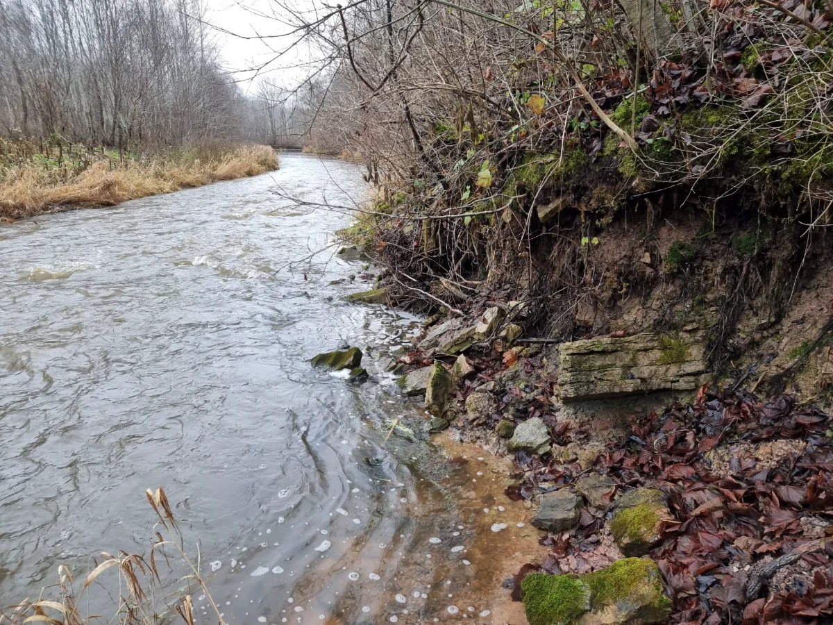 Langsēdes klintis, necilā sākuma daļa pie upes. 2025. gada novembris.