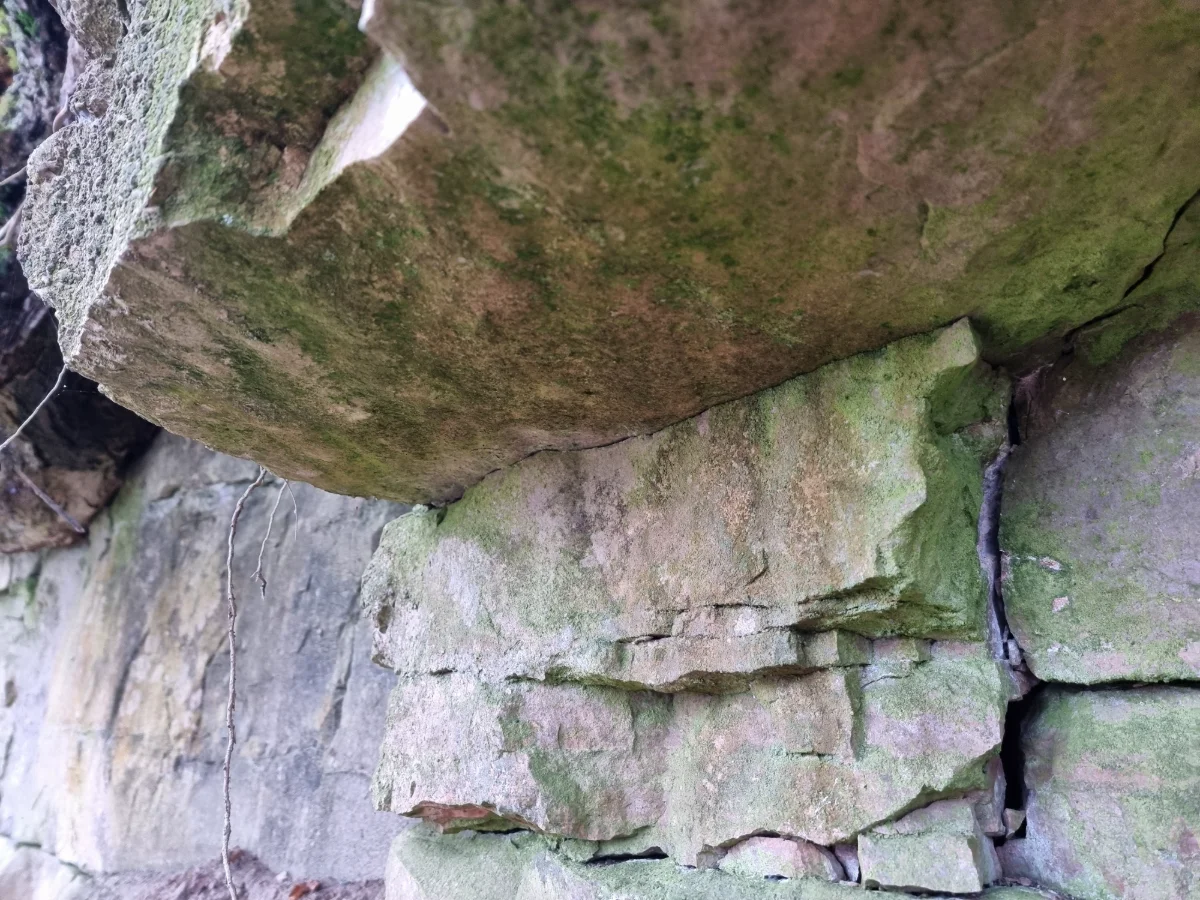 Langsēdes klintis, senais jūras ripsnājums dolomīta slāņa apakšdaļā. 2025. gada novembris.