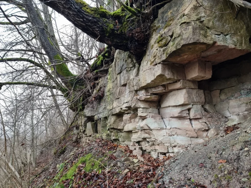 Langsēdes klintis. 2025. gada novembris.