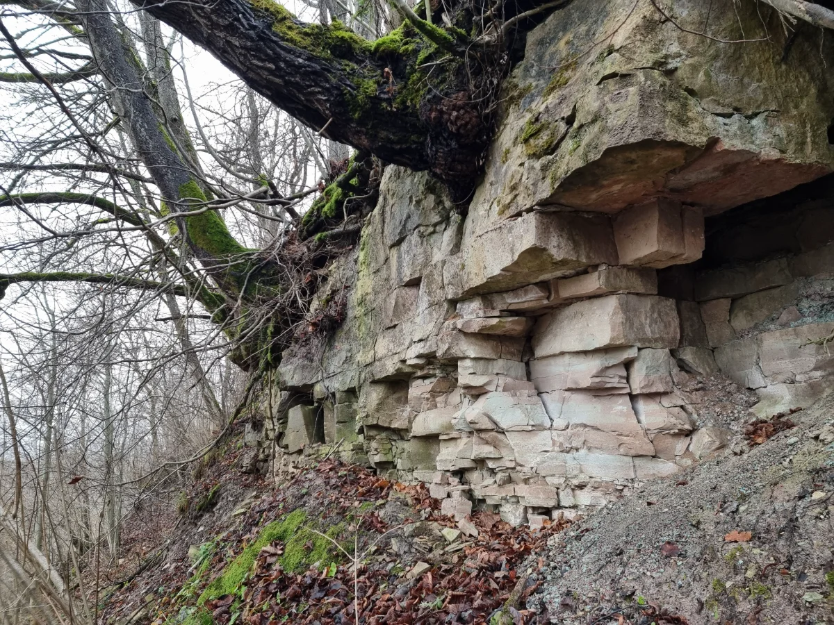 Langsēdes klintis. 2025. gada novembris.