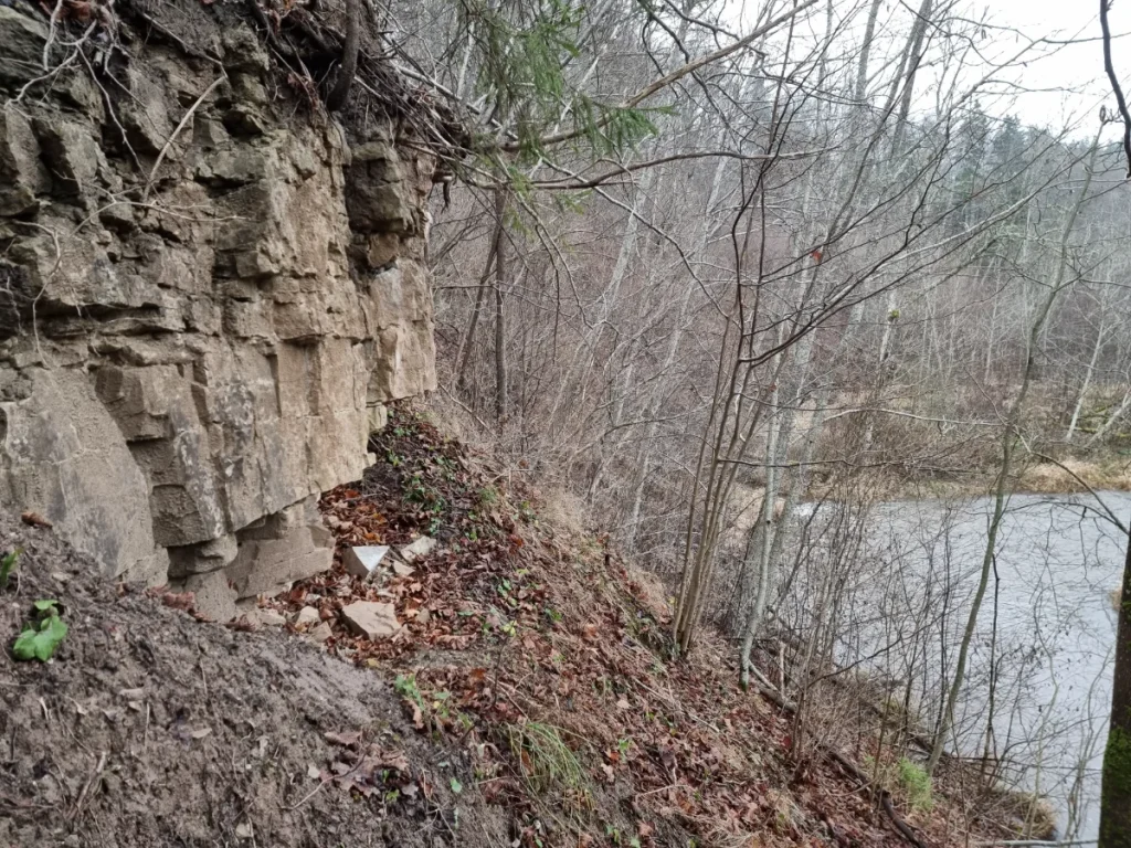 Imulas atsegums pie Rožkalniem. 2025. gada novembris.