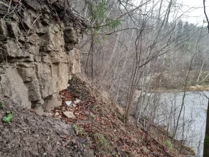 Imulas atsegums pie Rožkalniem. 2025. gada novembris.