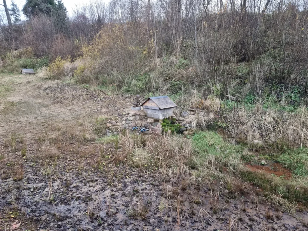 Avots pie Melturiem. 2025. gada novembris.