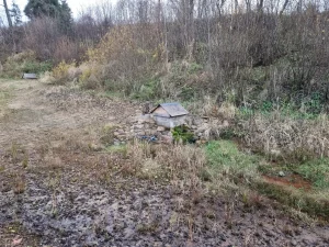 Avots pie Melturiem. 2025. gada novembris.