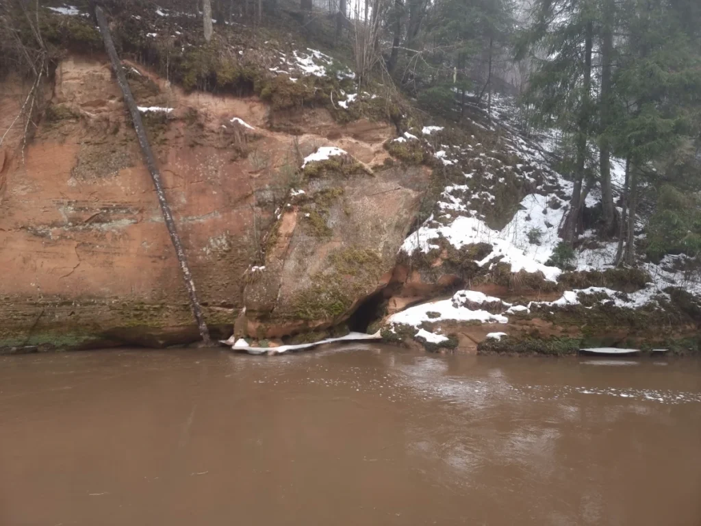 Plūču iezis, ala ieža lejasdaļā. 2026. gada marts.