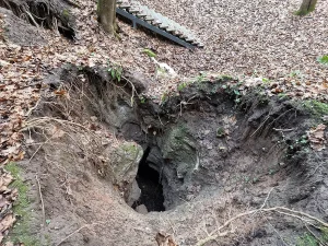 Āpša ala (Barsuko ola). 2024. gada decembris.