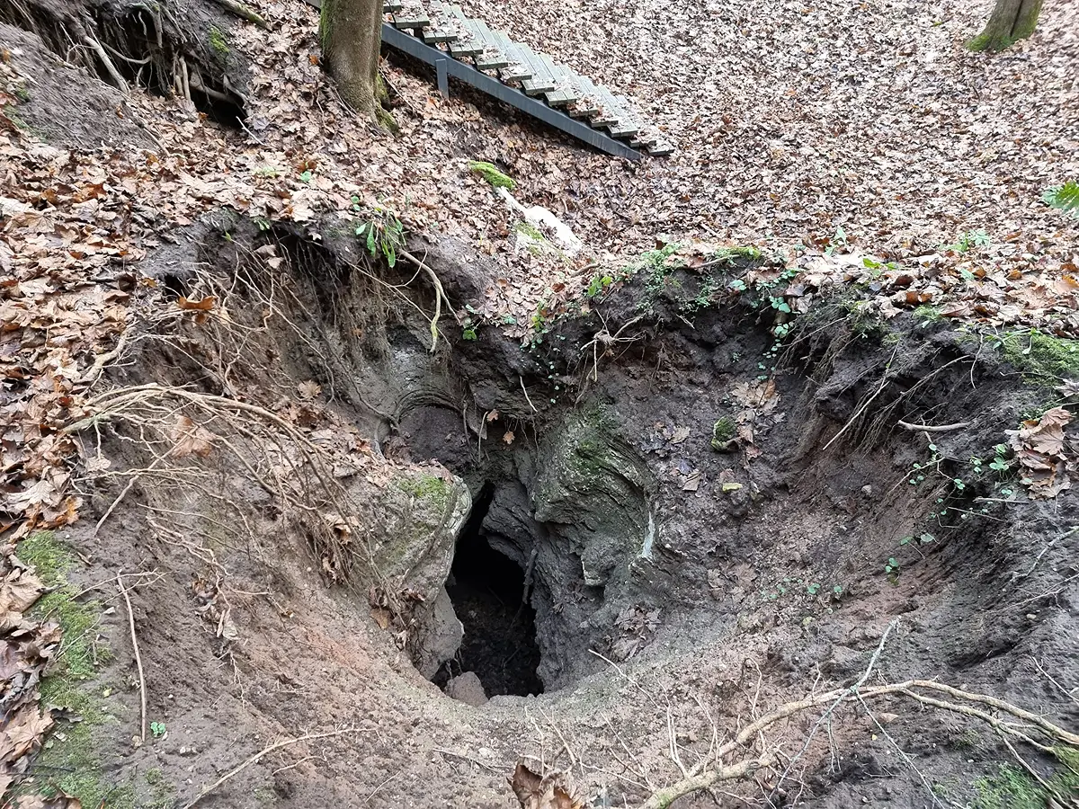 Āpša ala (Barsuko ola). 2024. gada decembris.