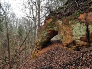 Dambjupītes smilšakmens arka. 2026. gada aprīlis.
