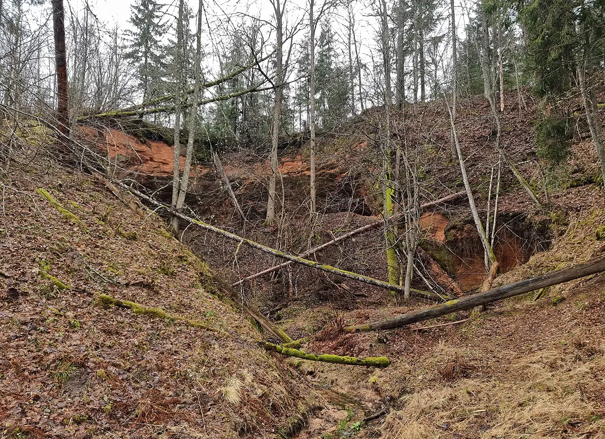 Govs ala, kopskats. 2026. gada aprīlis.