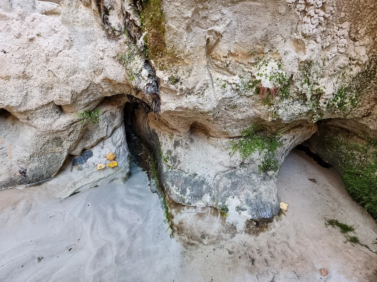 Hinni kanjona avots. 2024. gada oktobris.