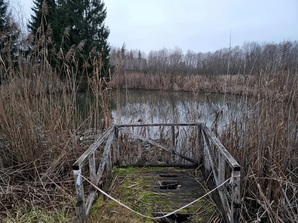 Jaroņa kritene (Jaronio duobė)