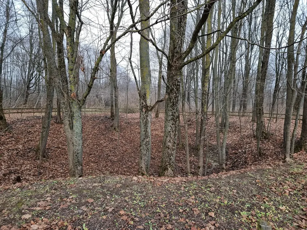 Kļavu kritene (Klevų duobė)