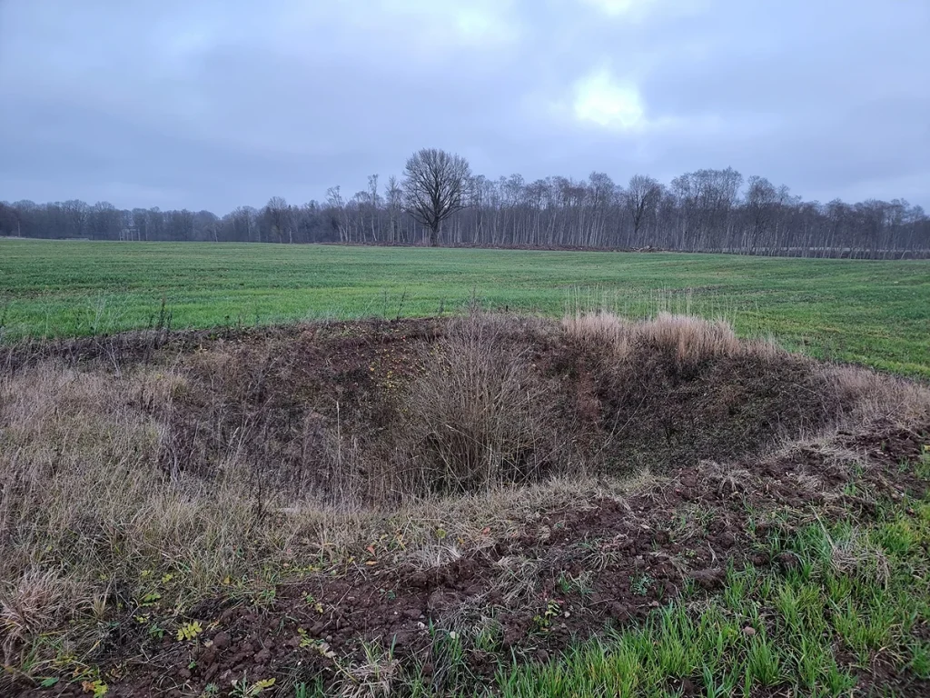 Kropja kritene (Kruopio duobė)