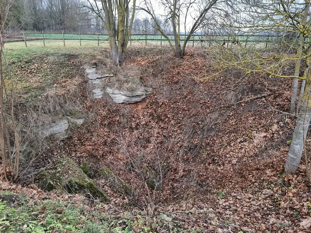 Lapsas ala (Lapės Ola)