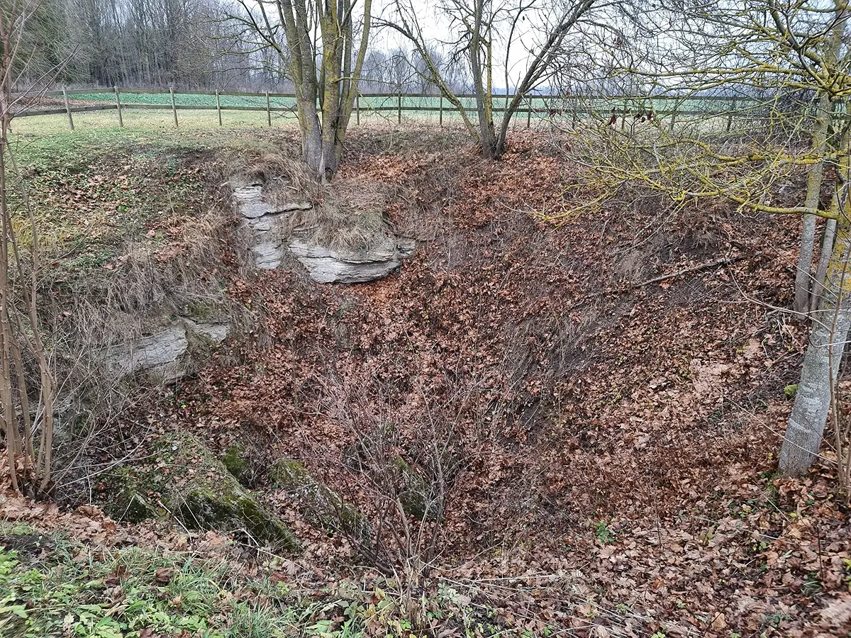 Lapsas ala (Lapės Ola). 2024. gada decembris.