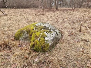 Mazsalacas bedrīšakmens. 2026. gada aprīlis.