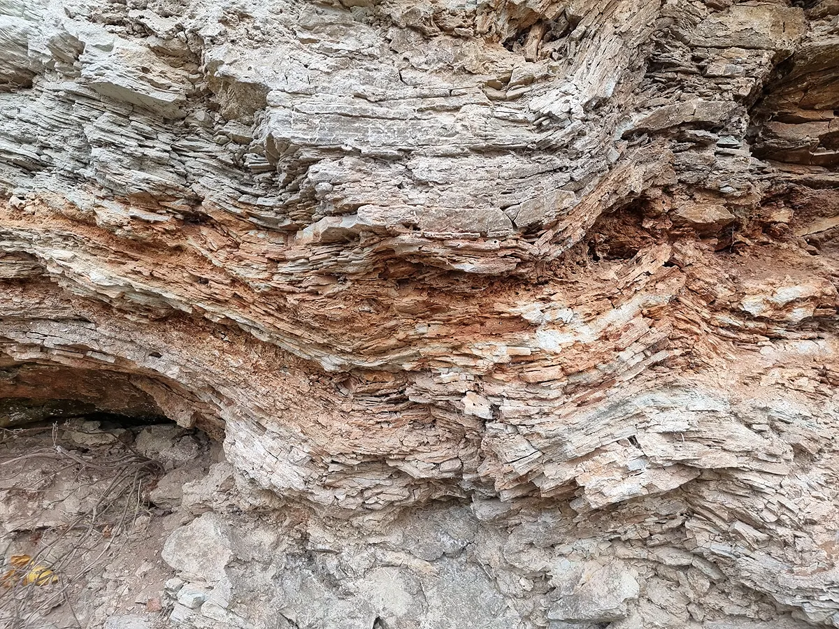 Dolomīta slāņu deformācijas Morišķu atsegumā. 2024. gada decembris.