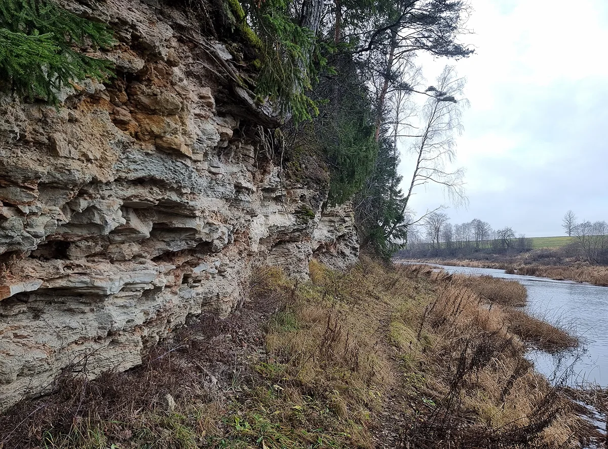 Morišķu atsegums. Pretējā krastā - Latvija. 2024. gada decembris.