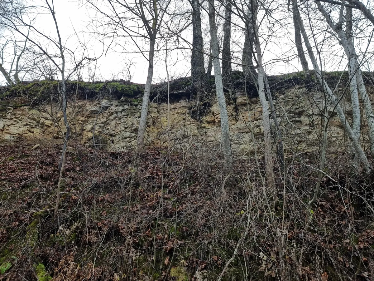 Tabokines atsegums, augšējais stāvs - Istras svītas dolomīti. 2024. gada decembris.