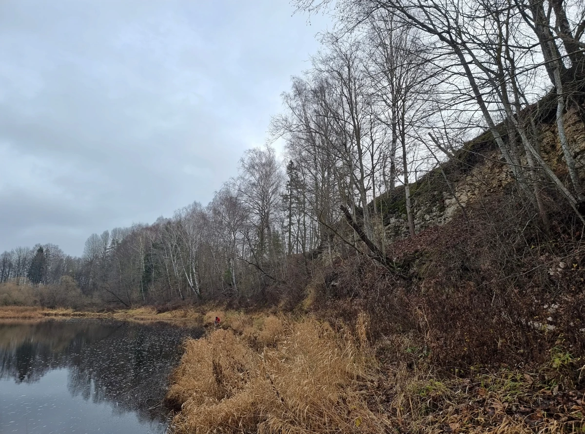 Tabokines atsegums. 2024. gada decembris.