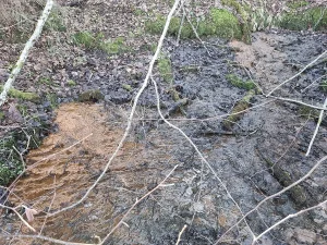 Ņukšu dzelzsavots. 2026. gada marts.