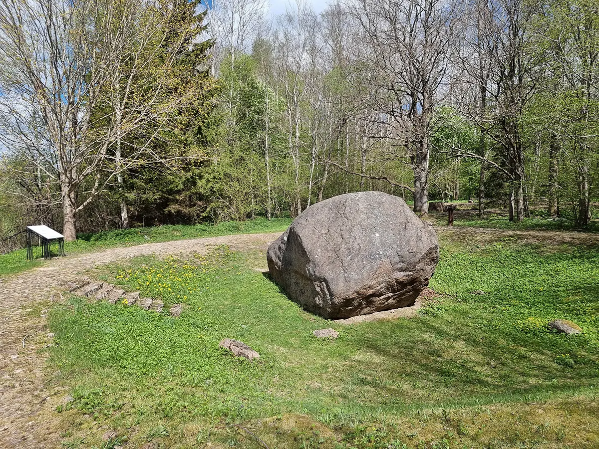 Dižakmens "Šilales kūlis". 2026. gada maijs. Aiz akmens un koka redzams Šilales pirmais dobumakmens.