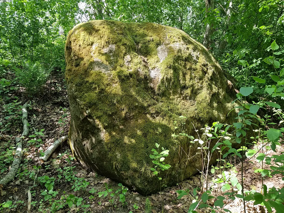 Stiglovas dižakmens. 2026. gada maijs.