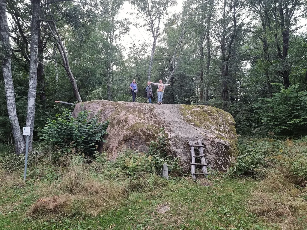 Kukas akmens (Kukka kivi)